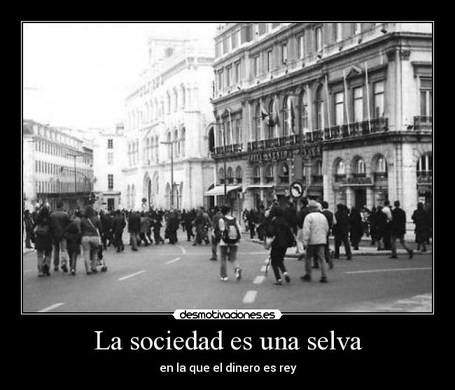 La sociedad es una selva - en la que el dinero es rey