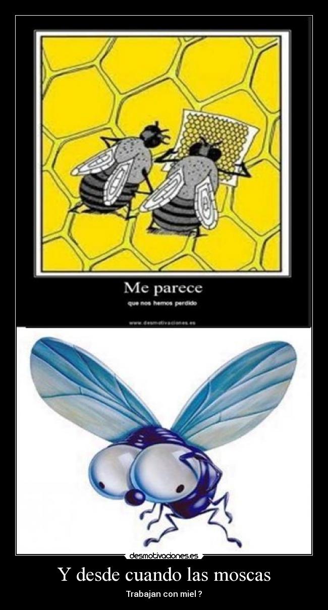 Y desde cuando las moscas -