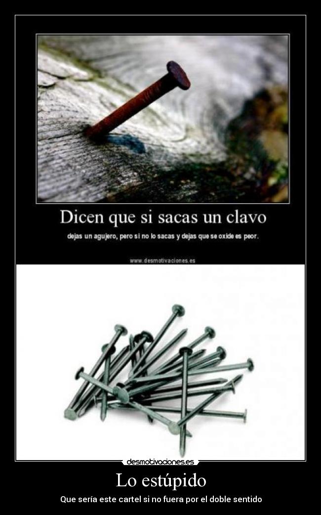 Lo estúpido - 