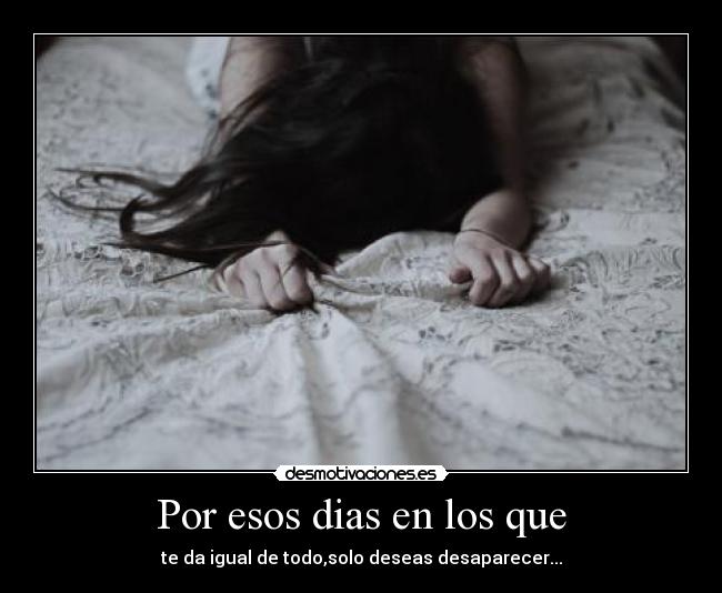 carteles dias desaparecer todo desmotivaciones