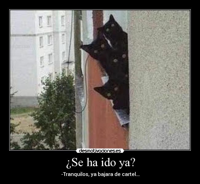 ¿Se ha ido ya? -