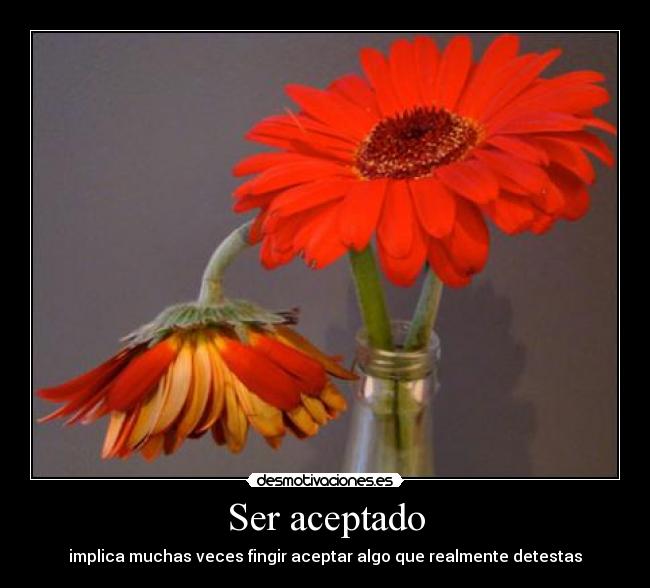 Ser aceptado - implica muchas veces fingir aceptar algo que realmente detestas