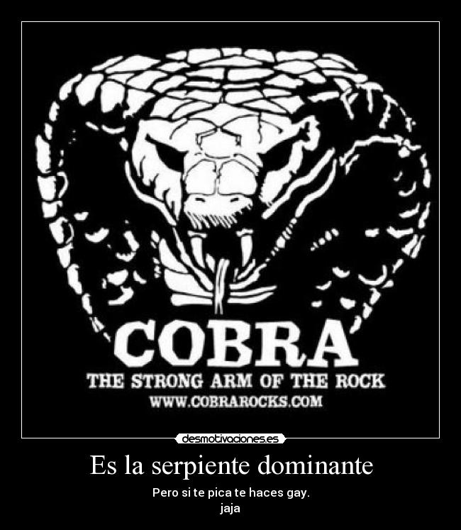 Es la serpiente dominante - Pero si te pica te haces gay.
jaja