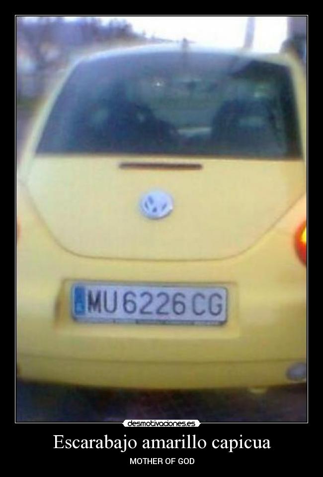 Escarabajo amarillo capicua -