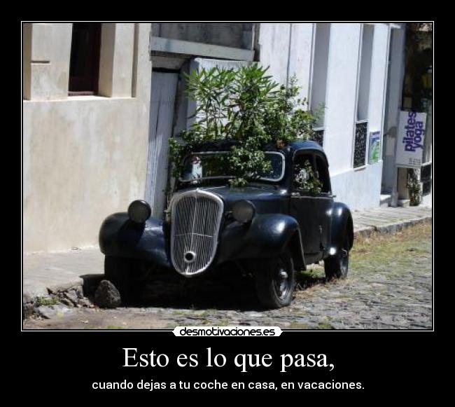 Esto es lo que pasa, -