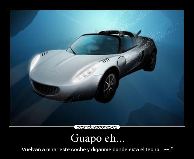 carteles rarezas desmotivaciones