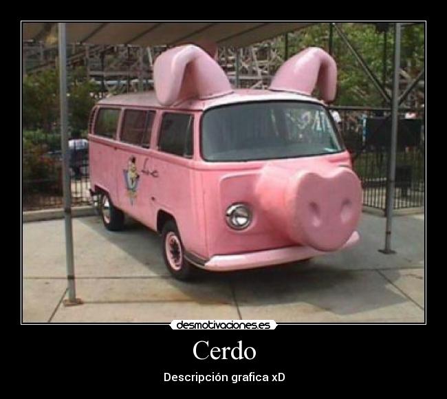 Cerdo - 