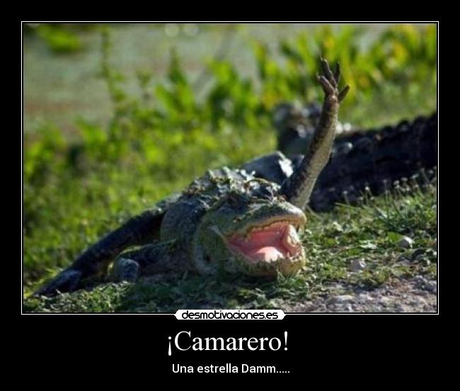 ¡Camarero! - Una estrella Damm.....