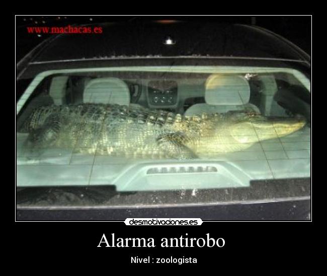 Alarma antirobo -