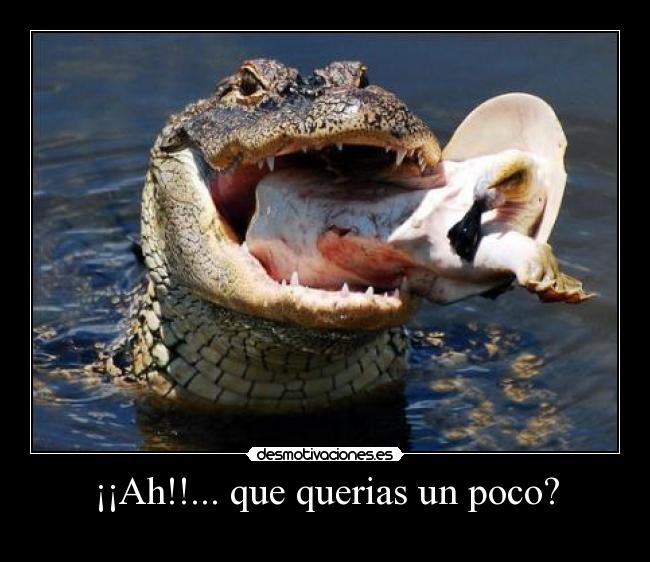 carteles que querias poco desmotivaciones