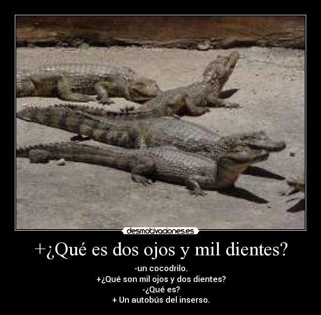 carteles chistes cocodrilos autobuses del inserso desmotivaciones