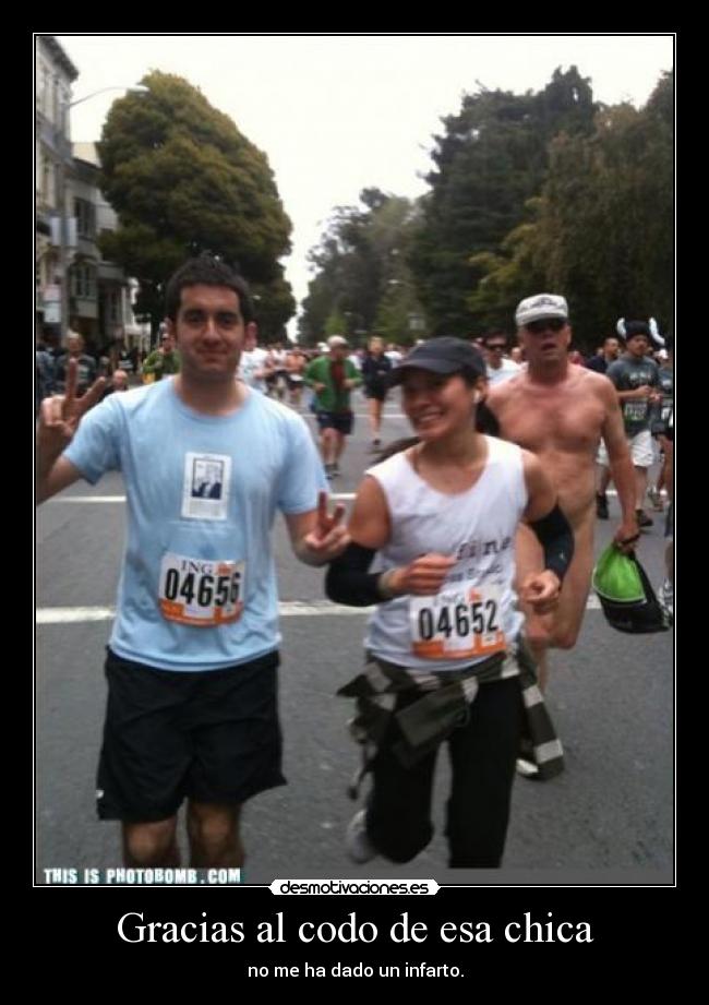 carteles gato desmotivaciones