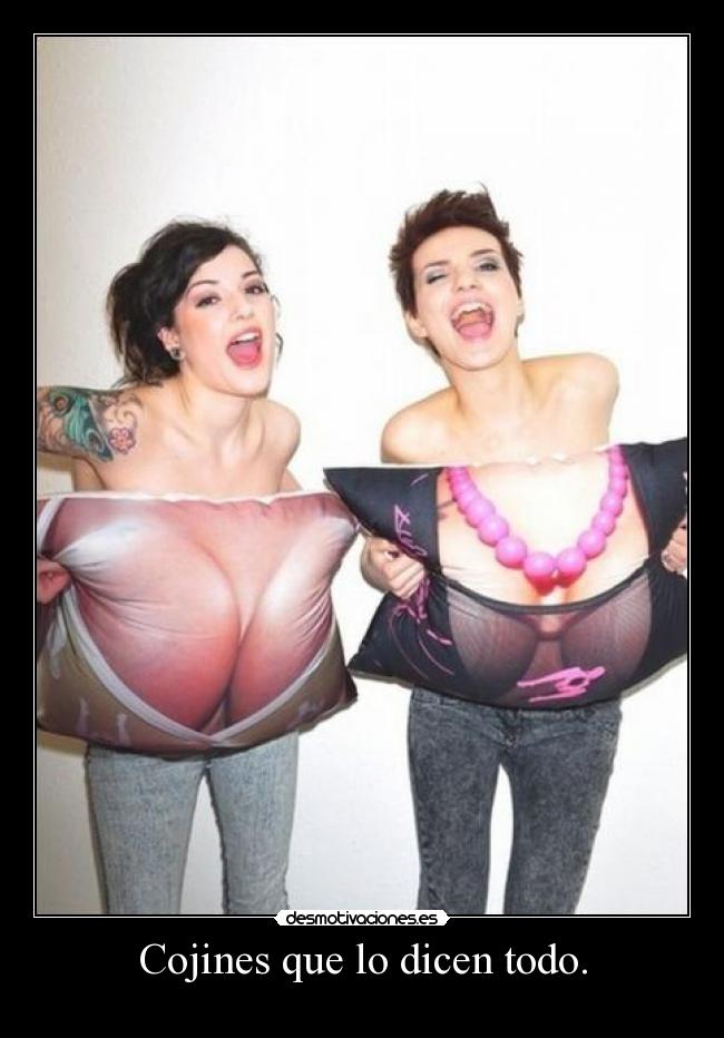 Cojines que lo dicen todo. -