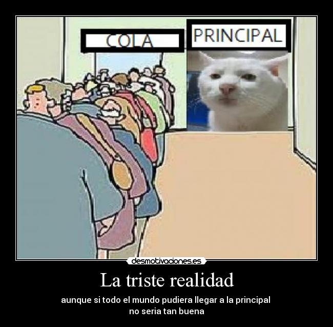 La triste realidad - aunque si todo el mundo pudiera llegar a la principal
no seria tan buena