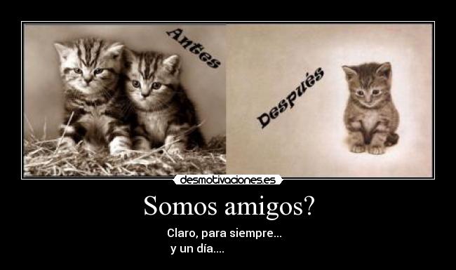 Somos amigos? - 