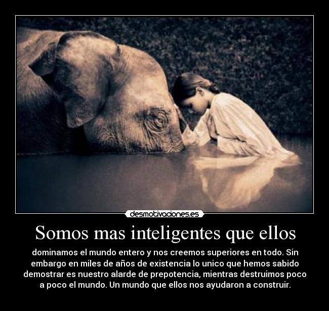 carteles somos mas inteligentes que ellos desmotivaciones