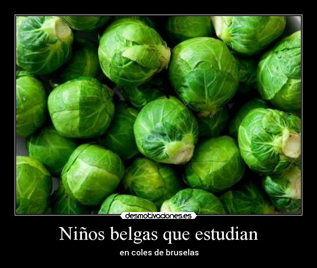 Niños belgas que estudian -