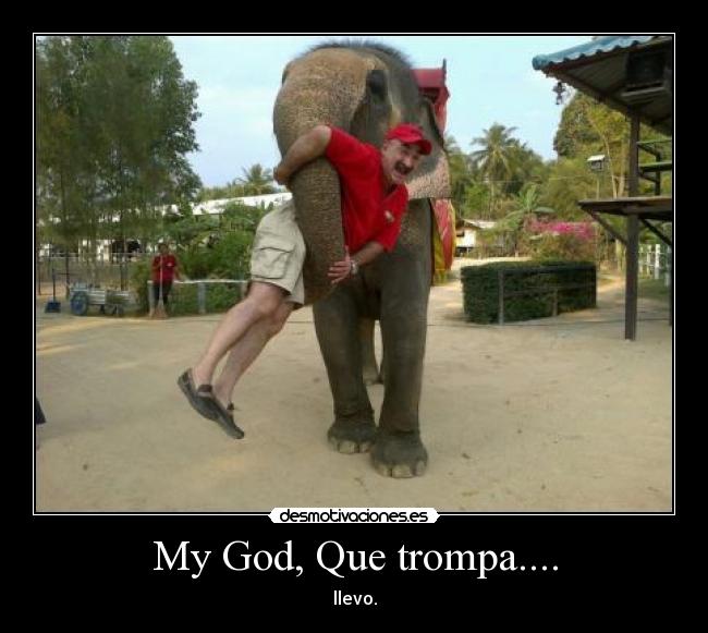 My God, Que trompa.... - 