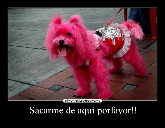 Sacarme de aquí porfavor!! -