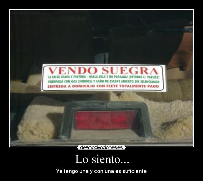 Lo siento... - Ya tengo una y con una es suficiente