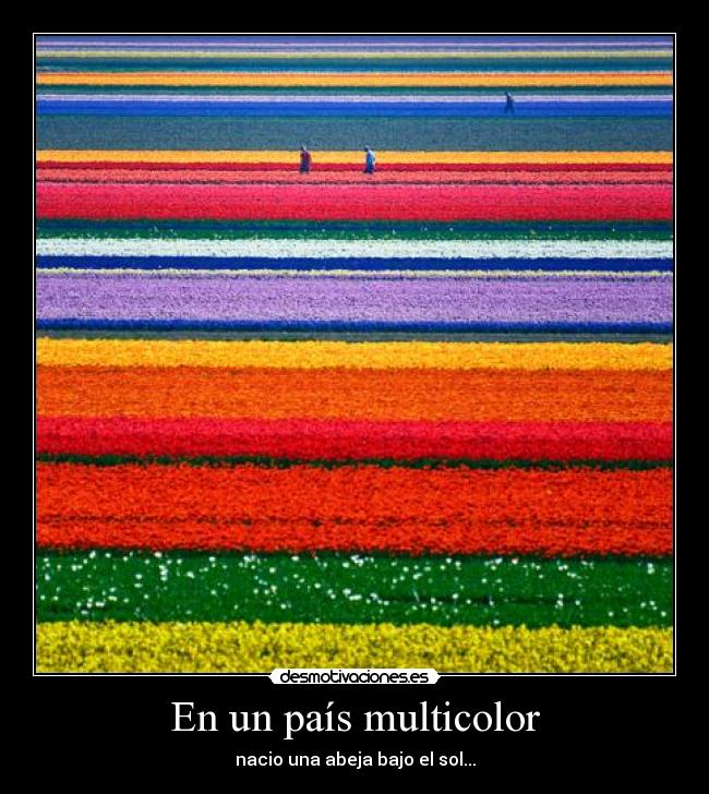 En un país multicolor - nacio una abeja bajo el sol...