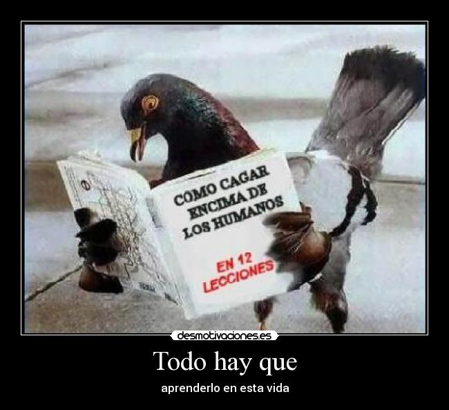 carteles caca desmotivaciones
