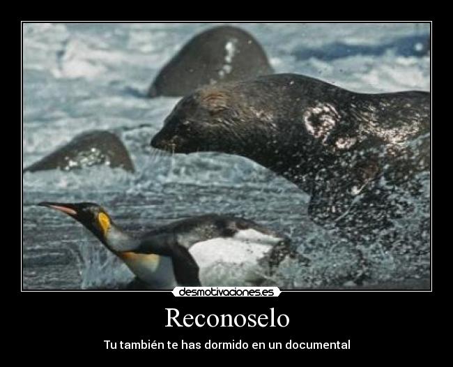 Reconoselo - 