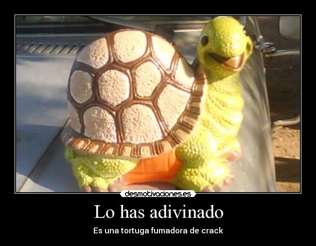 Lo has adivinado - Es una tortuga fumadora de crack