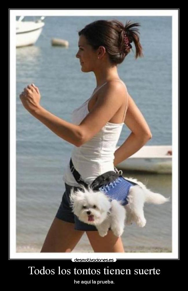 carteles ajajaj desmotivaciones