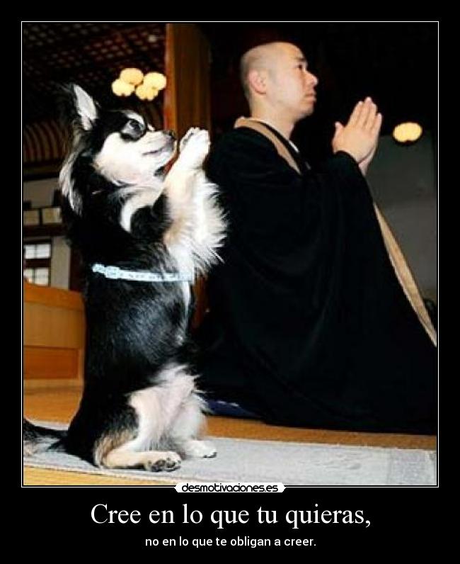 Cree en lo que tu quieras, - no en lo que te obligan a creer.