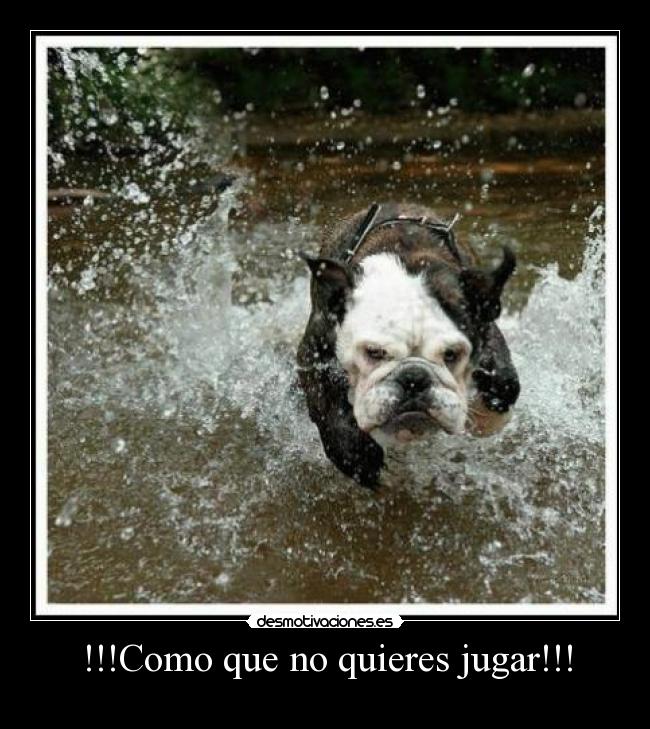 !!!Como que no quieres jugar!!! -