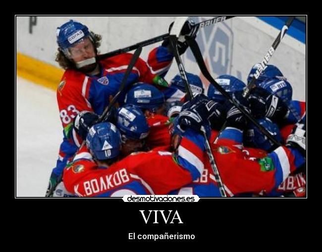 VIVA - El compañerismo