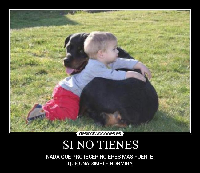 SI NO TIENES - NADA QUE PROTEGER NO ERES MAS FUERTE
QUE UNA SIMPLE HORMIGA