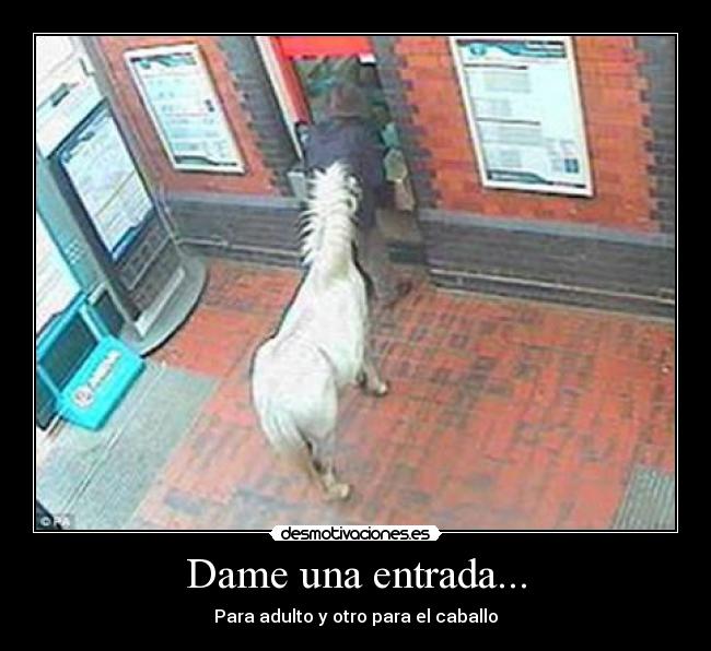 Dame una entrada... - 