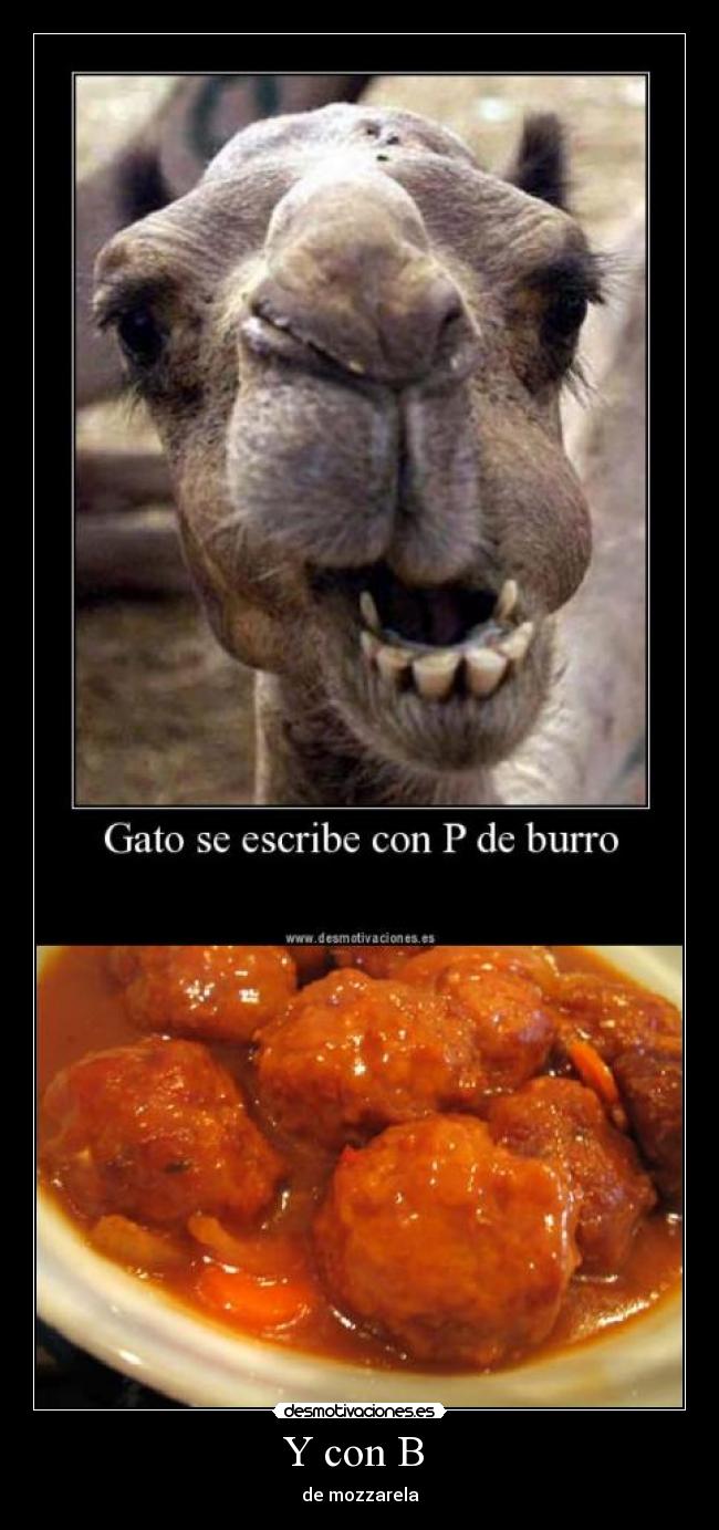 Y con B  - de mozzarela