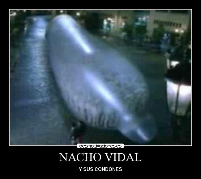 NACHO VIDAL - Y SUS CONDONES