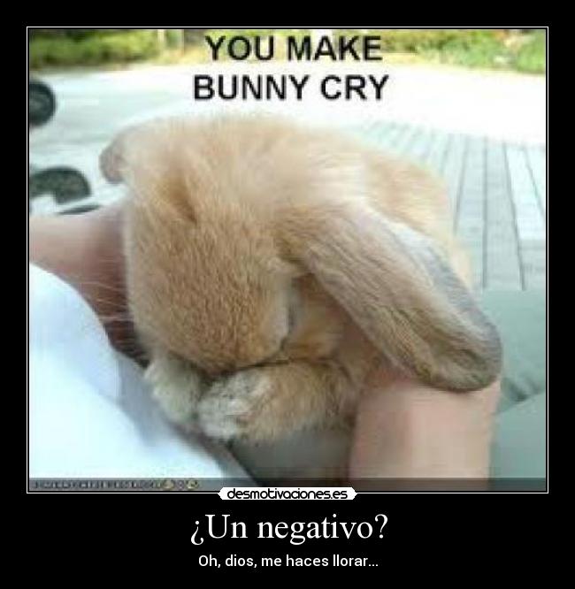 ¿Un negativo? - Oh, dios, me haces llorar...