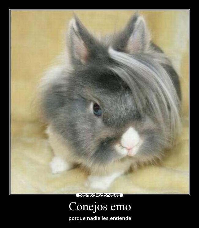Conejos emo - 