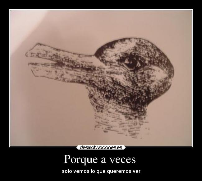 Porque a veces  - solo vemos lo que queremos ver