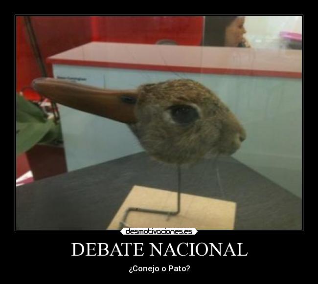 DEBATE NACIONAL - ¿Conejo o Pato?