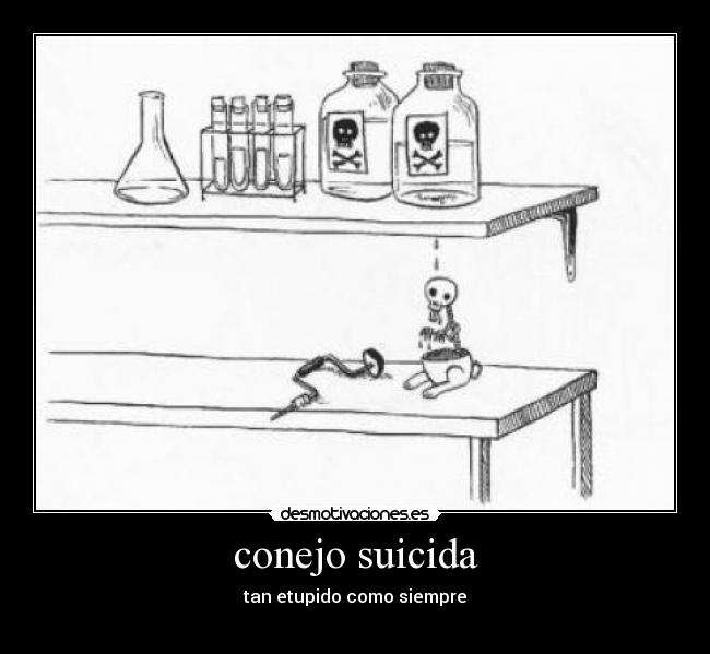 conejo suicida - 