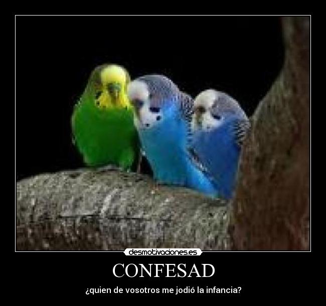 CONFESAD - 