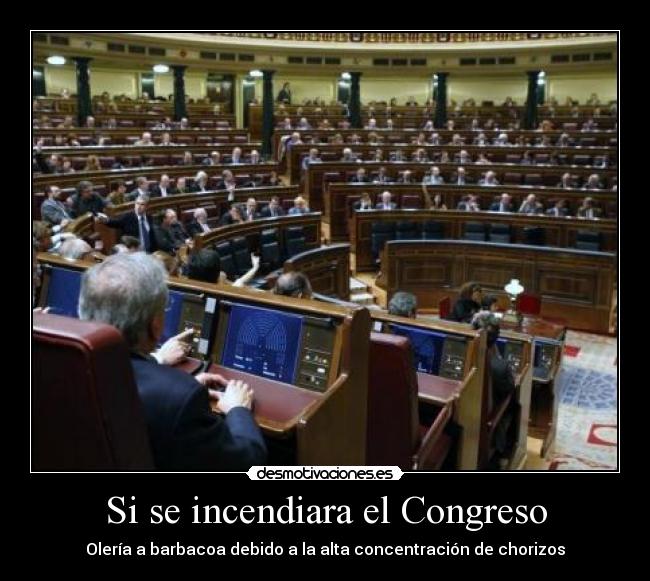 Si se incendiara el Congreso -
