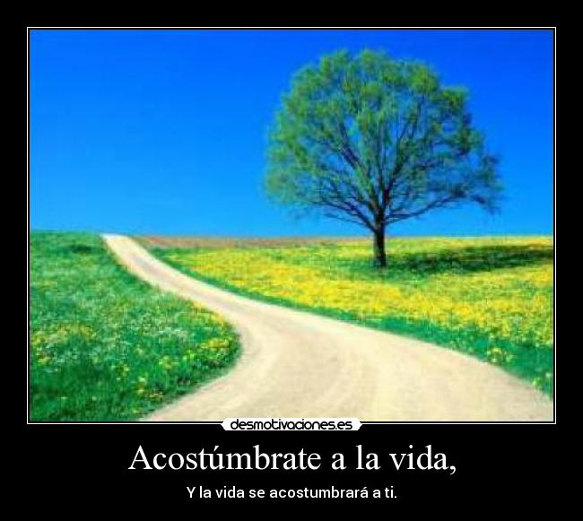 Acostúmbrate a la vida, - Y la vida se acostumbrará a ti.