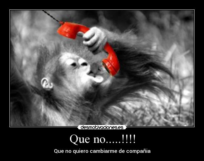 carteles monoamelrio desmotivaciones