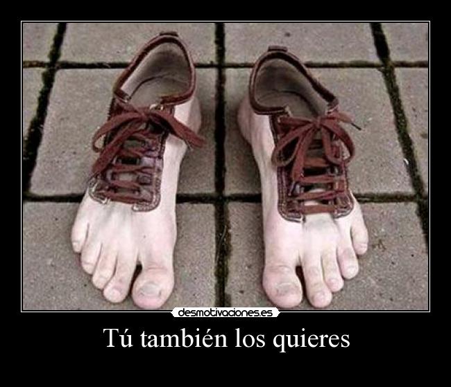 Tú también los quieres - 
