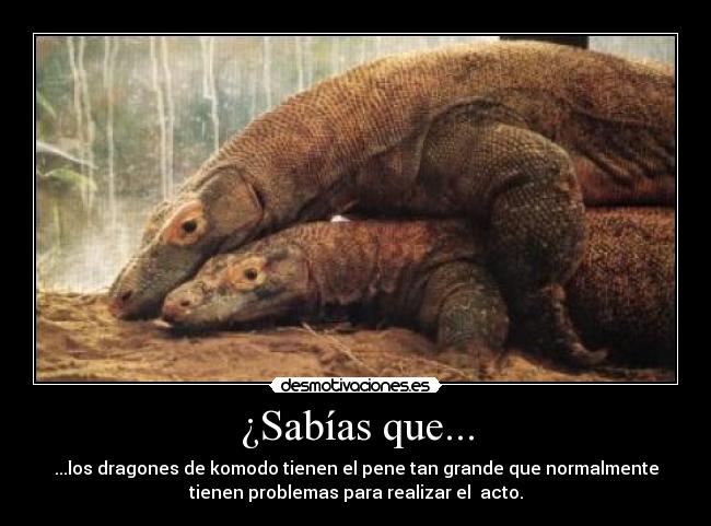 ¿Sabías que... -