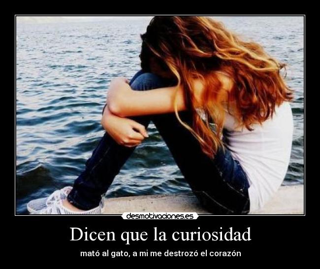 Dicen que la curiosidad - mató al gato, a mi me destrozó el corazón