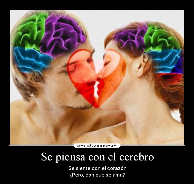 Se piensa con el cerebro - Se siente con el corazón
¿Pero, con que se ama?