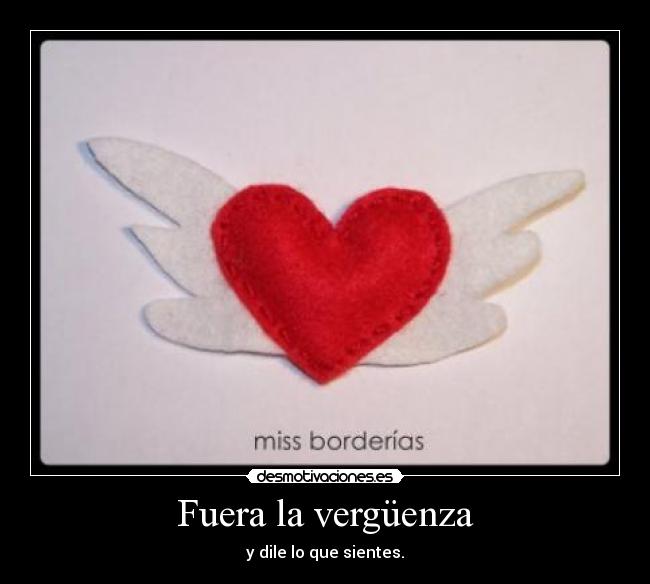Fuera la vergüenza -